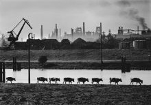 Duisburg, 1965. Blick von Ruhrdamm im Stadtteil Ruhrort Richtung Norden. © bpk / Walter Vogel